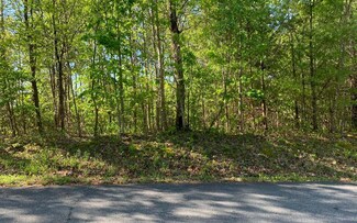 Lot 57 Fires Creek Rd, Hayesville, NC 28904
