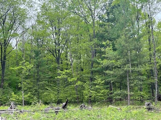 TBD Theron Rd Unit D, Traverse City, MI 49685