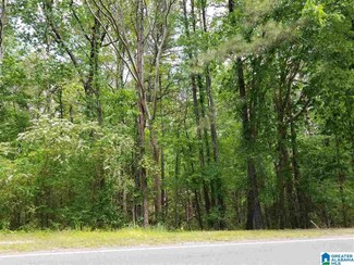 555 Argo Margaret Rd Unit 21, Margaret, AL 35120