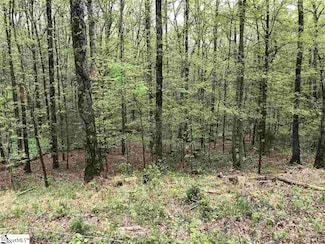 00 Oconee Ave, Westminster, SC 29693