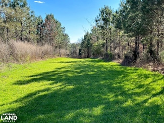 0 Co Rd 96, Millport, AL 35576