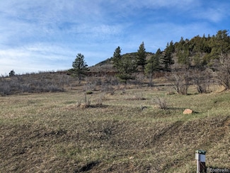 21814 Shady Ln, Idledale, CO 80453