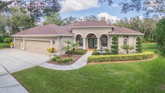 15802 Sorawater Dr, Lithia, FL 33547