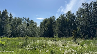 12400 E Norman Ave, Palmer, AK 99645