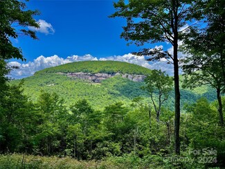 MR 16 Meadow Ridge Rd, Lake Toxaway, NC 28747