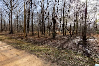 0 River Oaks Landing Cir Unit 41 21410025, Orrville, AL 36767