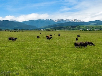 NHN Cottontail Rd, Bozeman, MT 59718