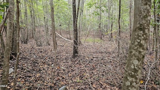 0 Gilliland St Unit 10129340, Warrenton, NC 27589