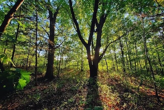 Corner Lucky Jog and Treasure Cove Unit Garrison MN 56450, Garrison, MN 56450