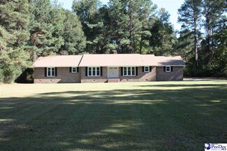 33944 County Line Rd, Hemingway, SC 29554