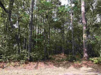 1718 Wallace Pate Dr Unit LOT 67, Georgetown, SC 29440