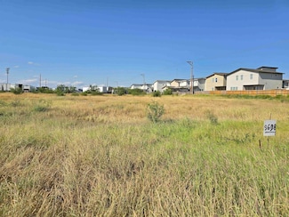 9698 Springfield Ave, Laredo, TX 78045