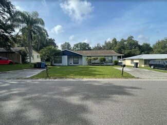 11515 Valencia Dr, Seffner, FL 33584