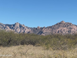 45 ac S De Niza Rd Unit 48, St. David, AZ 85630