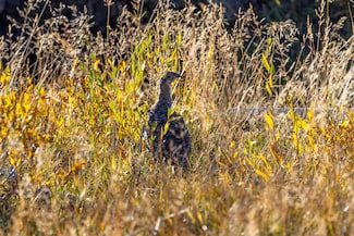 0 Tbd Unit 25533788, Big Piney, WY 83113