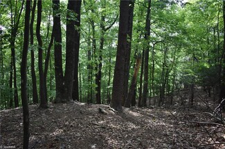 000 Greenstreet Dr, Traphill, NC 28685