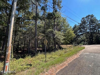 0 Country Lake Dr Unit 4128553, Summit, MS 39666