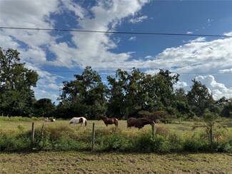 1111 Edgewood Dr, Richmond, TX 77406