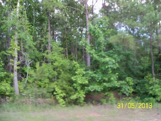 0 Old Louvale Rd Unit 206224, Cusseta, GA 31805