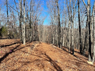 5200 Missouri 173, Cape Fair, MO 65624