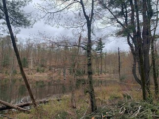 Map 52 Lot 2B Pratt Rd, Alstead, NH 03602