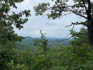 12, 13A Brasstown Heights Ln, Brasstown, NC 28902