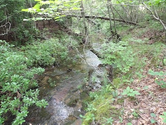 Lot 9 Hughes Rd, Evensville, TN 37332