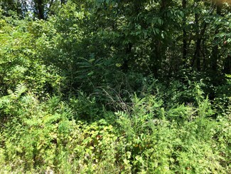 000 Peach Ln, Ridgedale, MO 65739