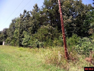 760-14196-000 Marilyn Ave, Bull Shoals, AR 72619