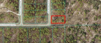 00 SW Buena Vista Rd, Dunnellon, FL 34431
