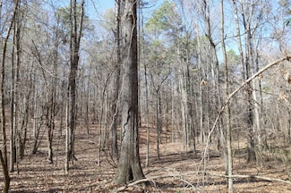 TBD Louisiana 849, Columbia, LA 71418