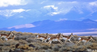 002-131-11 Pioneer Dr, Lovelock, NV 89419