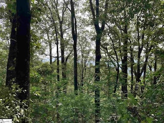 0 Boulder Lookout Dr Unit 1431154, Landrum, SC 29661