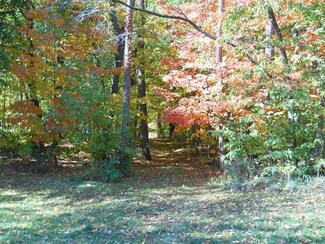 17075 Black St, Vandalia, MI 49095