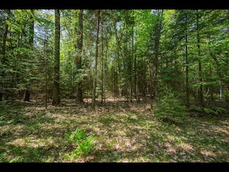 Lot 4 Kinderhook Trail, Three Lakes, WI 54521