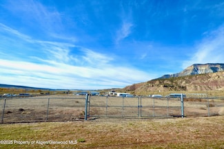 TBD 2 Mosher, Parachute, CO 81635