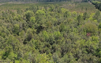 0 W Boundary Rd Unit 126104, Perry, FL 32347