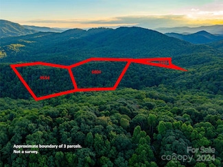 99999 Dotson Rd, Fairview, NC 28730