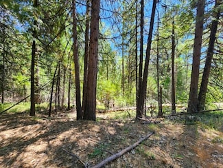 0 Quartz Mountain Rd Unit 202401173, West Point, CA 95255