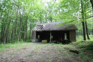 155 Laughner Rd, Ligonier, PA 15658