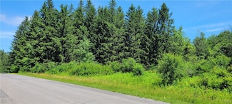 Lot 15 Canyonwood Ln, Jamesville, NY 13078