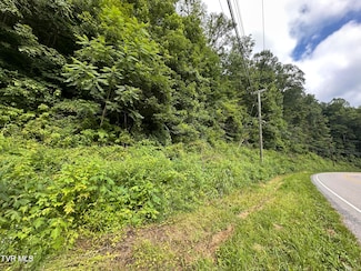 TBD Wise St, Saint Paul, VA 24283