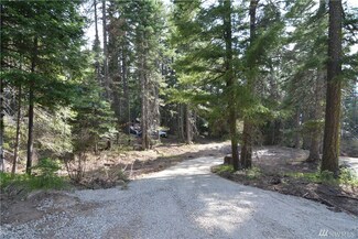 0 Eagle View Dr Unit 1767022, Ronald, WA 98940