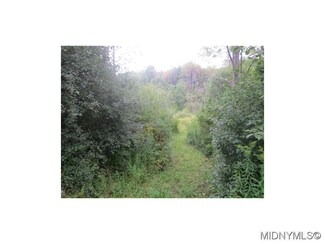0 White St Unit 1403415, Bridgewater, NY 13313
