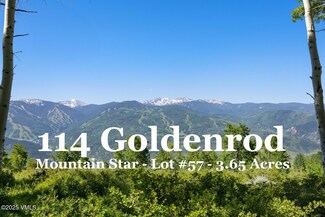114 Goldenrod, Avon, CO 81620