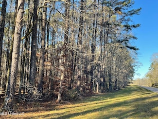 0 Mississippi 43, Kosciusko, MS 39090