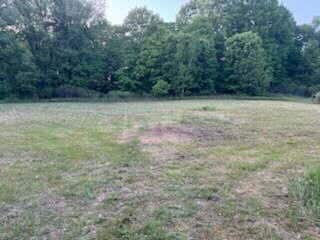 3873 W 136th St, Grant, MI 49327