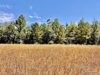 Lot 56 Mineral Springs Rd, Jay, FL 32565