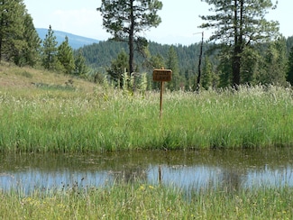 0 Tbd National Forest Dev Rd Unit 1170 8238773, Sumpter, OR 97877