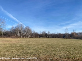 V/L Elm St, Standish, MI 48658